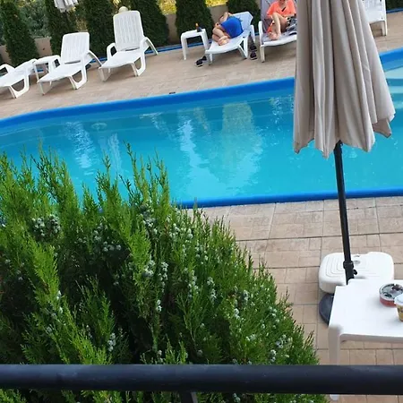 Kale Summer Life Slantchev Briag